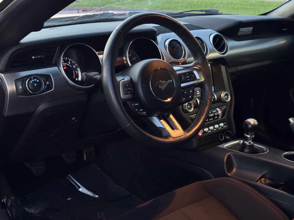 2019 Ford Mustang Image 12