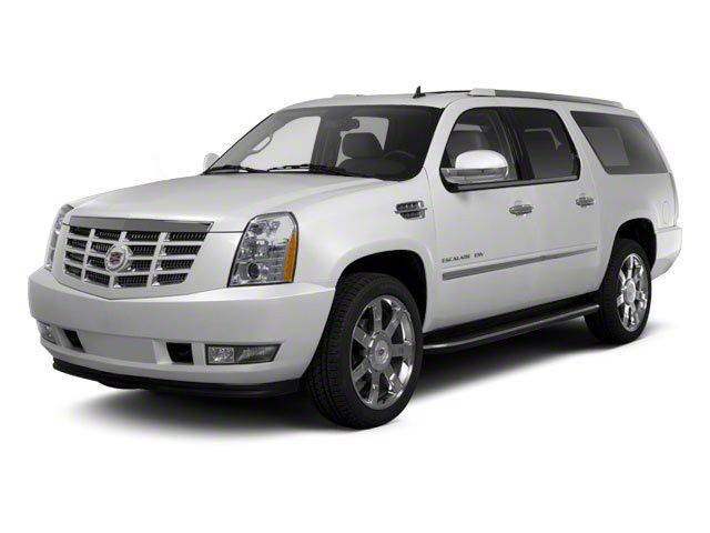 2010 Cadillac Escalade Image 1