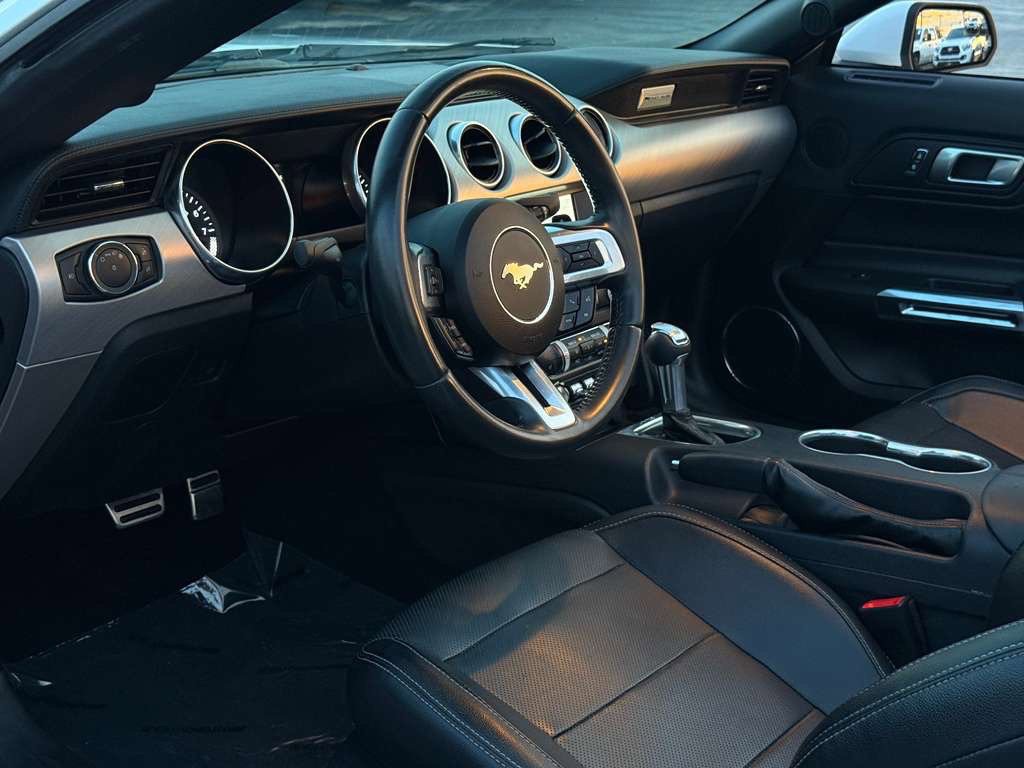 2019 Ford Mustang Image 13