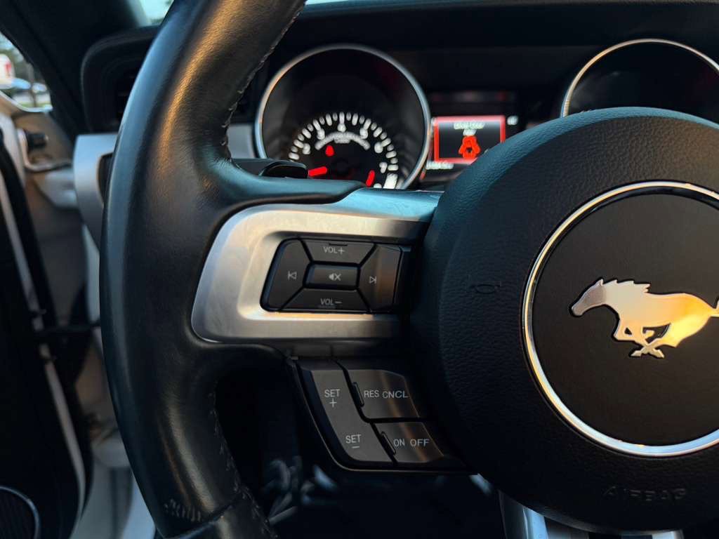 2019 Ford Mustang Image 17