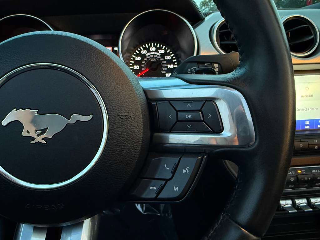 2019 Ford Mustang Image 18