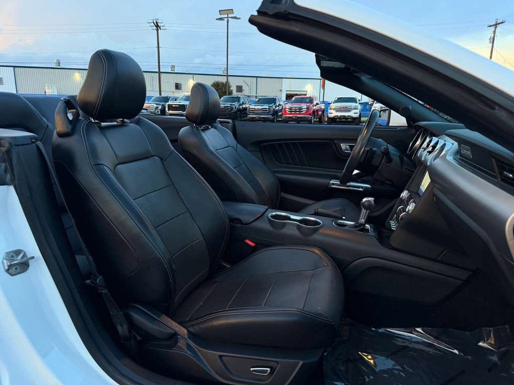 2019 Ford Mustang Image 24