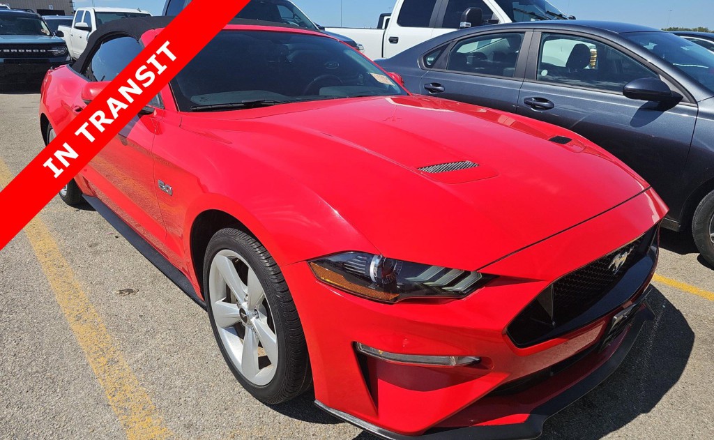 2019 Ford Mustang Image 5