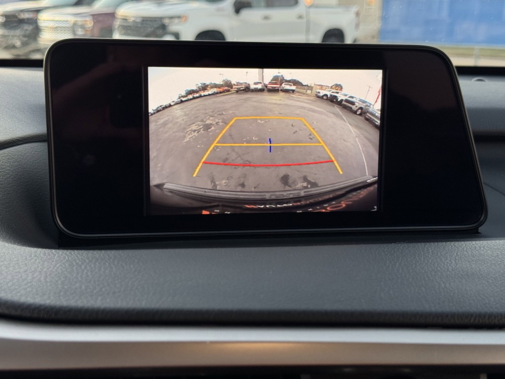 2019 Lexus RX Image 20