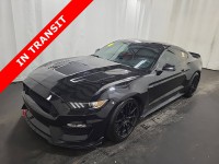 Image for 2016 Ford Mustang Shelby GT350 ID: 6966896