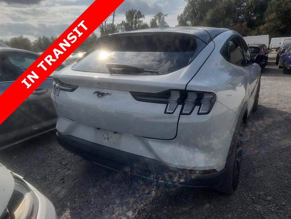 2021 Ford Mustang Image 6