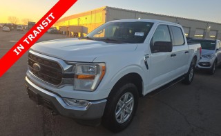Image for 2022 Ford F-150 XLT ID: 7098722