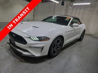 Image for 2019 Ford Mustang EcoBoost Premium ID: 7132783