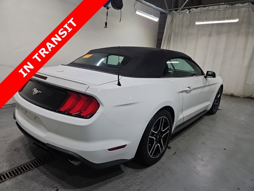 2019 Ford Mustang Image 7