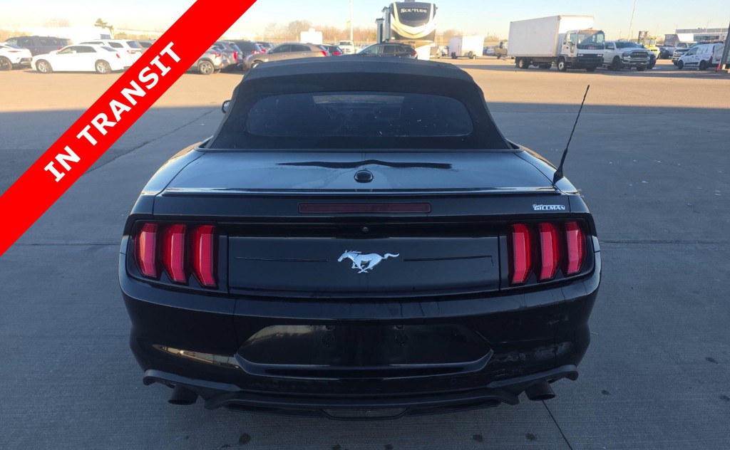 2020 Ford Mustang Image 7