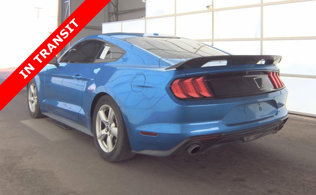 2019 Ford Mustang Image 7