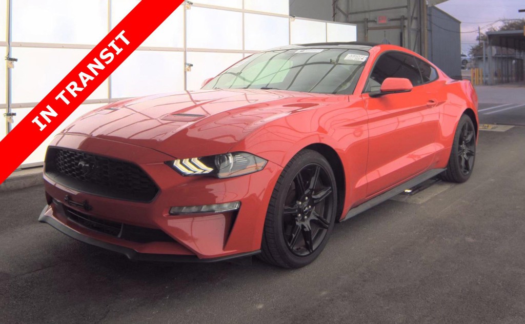 2019 Ford Mustang Image 1