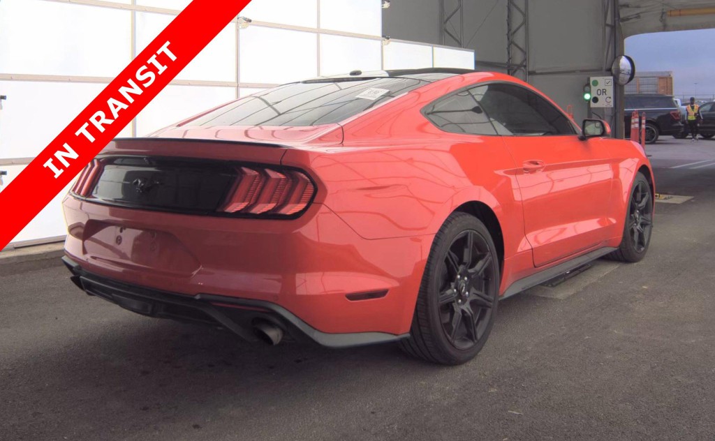 2019 Ford Mustang Image 6