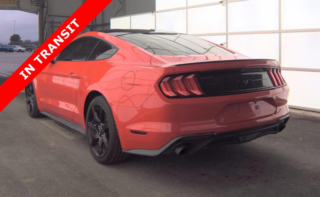 2019 Ford Mustang Image 7