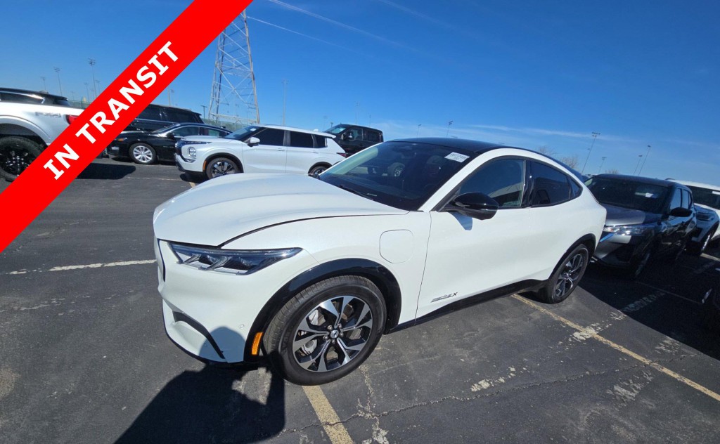 2021 Ford Mustang Image 1