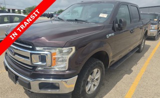 Image for 2018 Ford F-150 XLT ID: 7442493