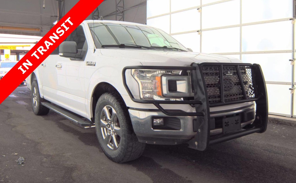 2019 Ford F-150 Image 5