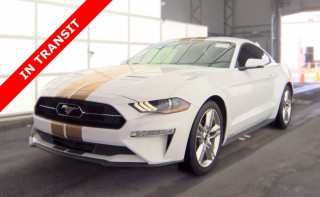 Image for 2019 Ford Mustang EcoBoost Premium ID: 7475749