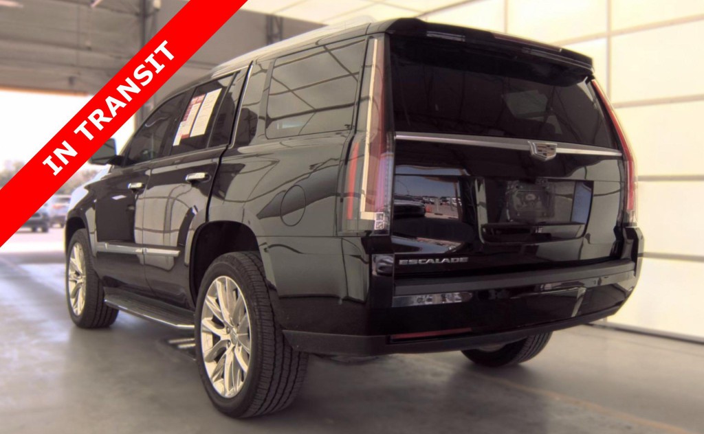 2019 Cadillac Escalade Image 6