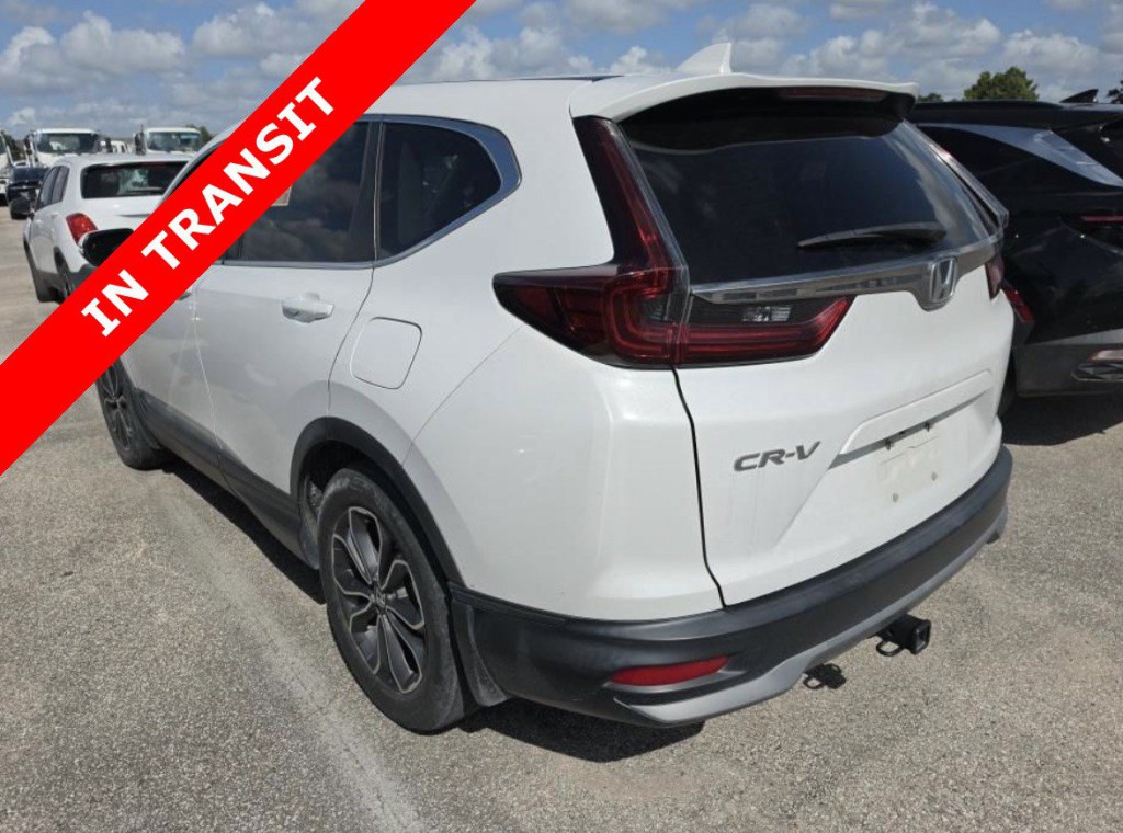 2020 Honda CR-V Image 7