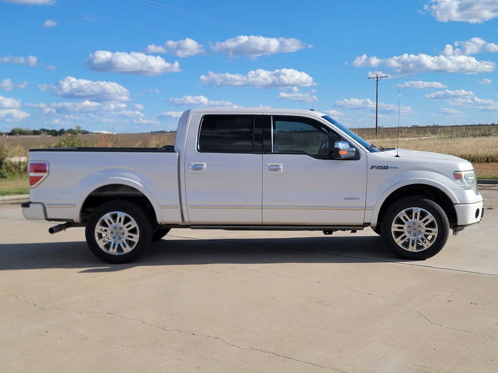 2014 Ford F-150 Image 3