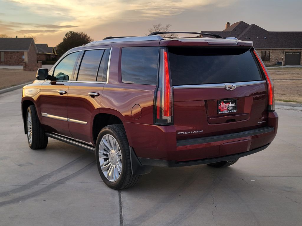 2019 Cadillac Escalade Image 5