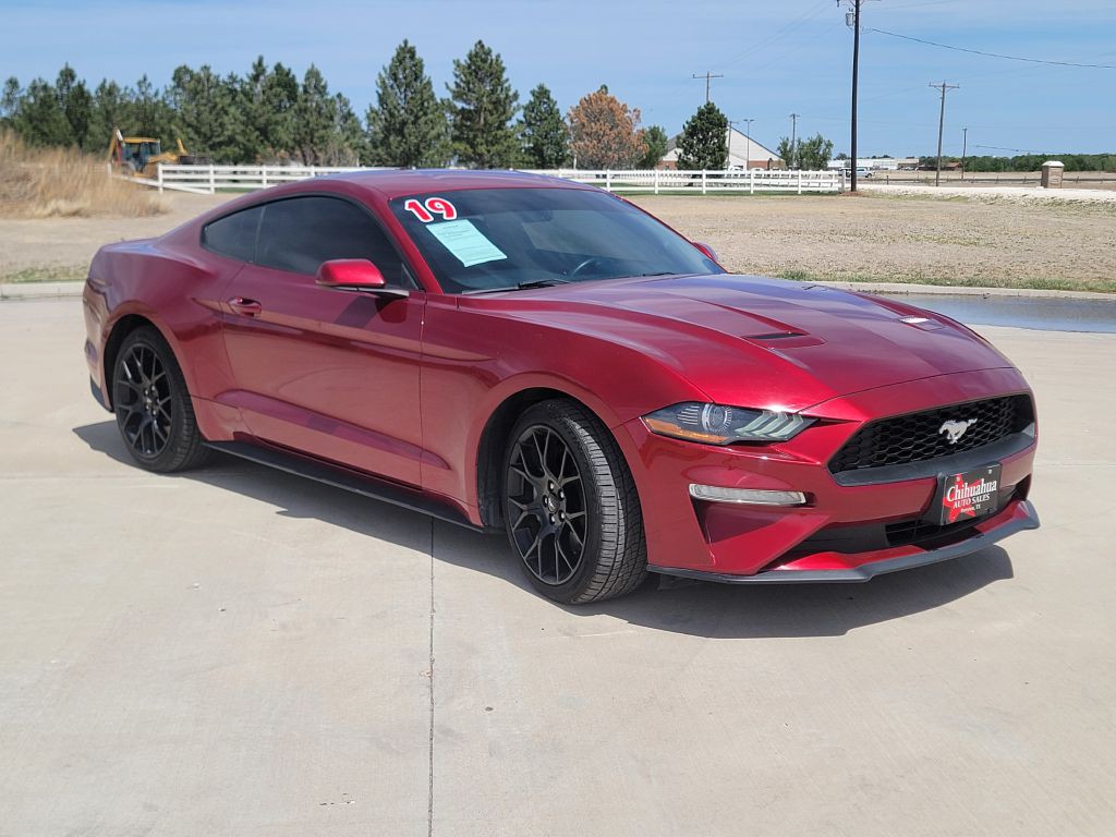 2019 Ford Mustang Image 2