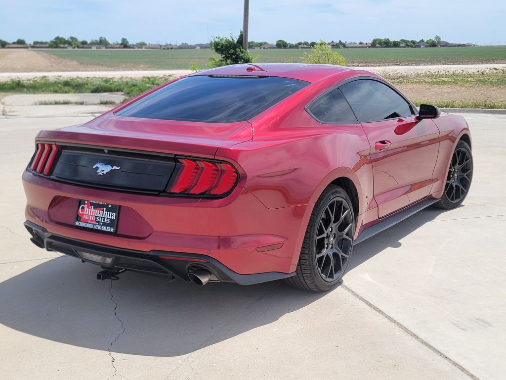 2019 Ford Mustang Image 4