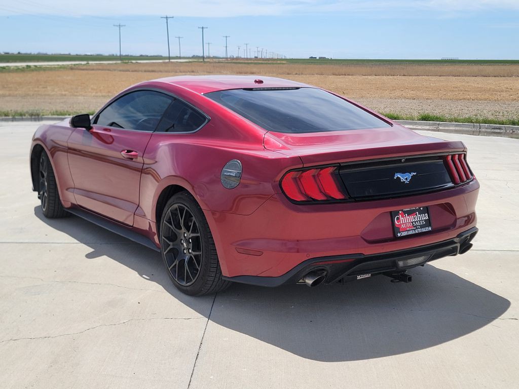 2019 Ford Mustang Image 5