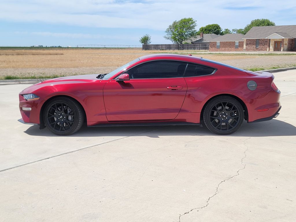 2019 Ford Mustang Image 6