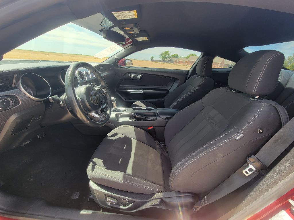 2019 Ford Mustang Image 7