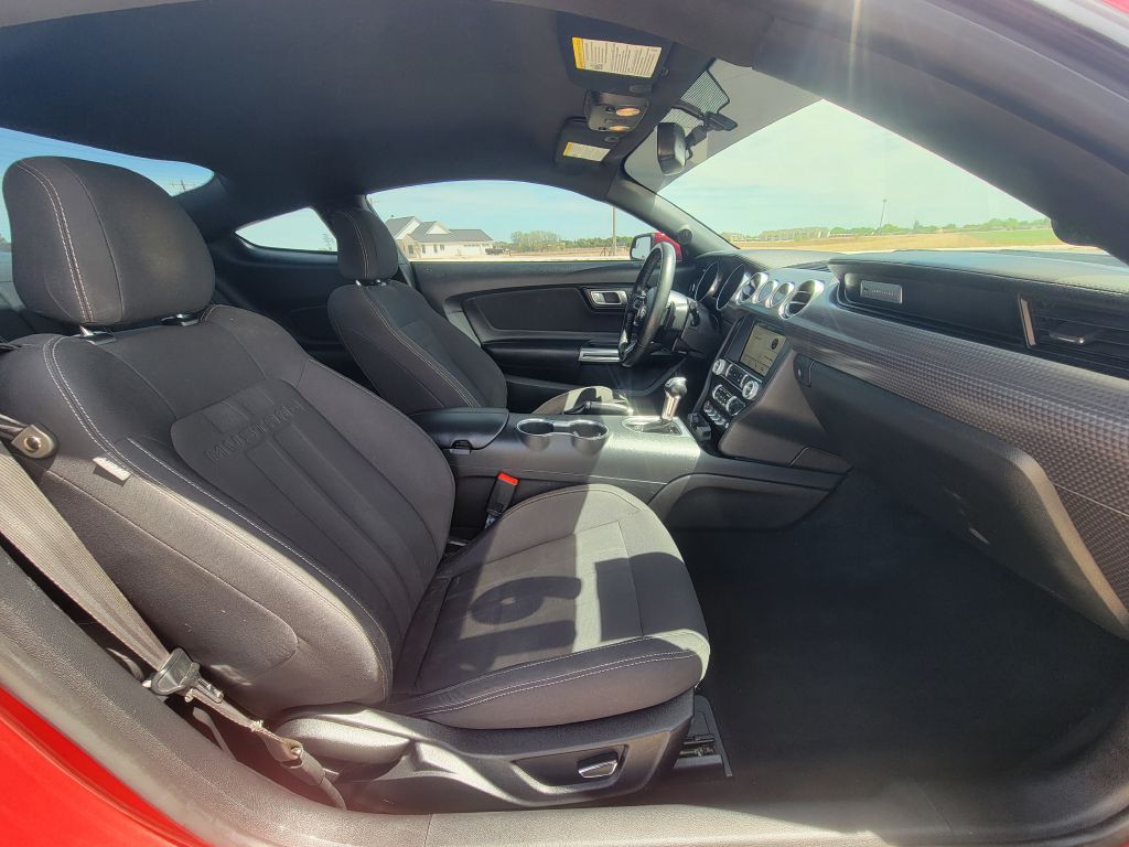 2019 Ford Mustang Image 10