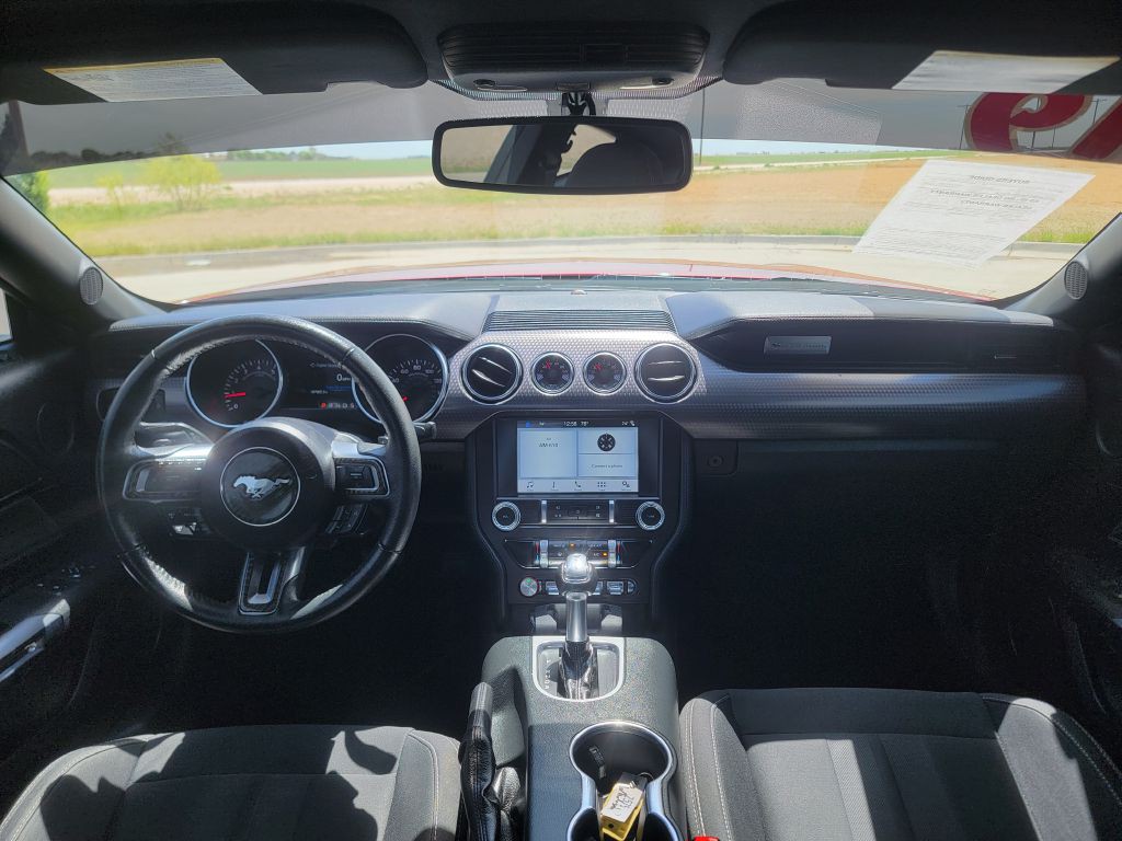 2019 Ford Mustang Image 13