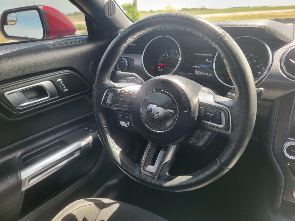 2019 Ford Mustang Image 14