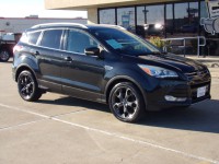 Image for 2014 Ford Escape Titanium ID: 7058825