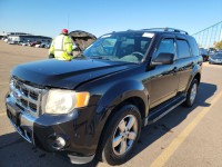 Image for 2010 Ford Escape Limited ID: 6981608