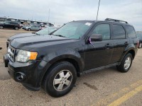 Image for 2011 Ford Escape XLT ID: 6998705