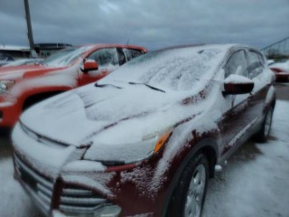 Image for 2014 Ford Escape SE ID: 7115366