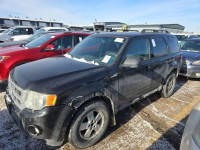 Image for 2011 Ford Escape XLT ID: 7151603