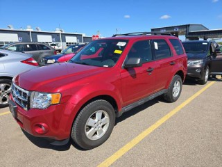 Image for 2010 Ford Escape XLT ID: 7383563