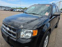 Image for 2012 Ford Escape XLT ID: 7443371