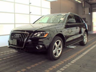 Image for 2011 Audi Q5 Premium Plus ID: 7485704