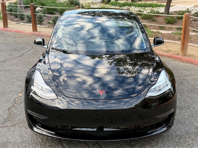 2019 Tesla Model 3 Image 12