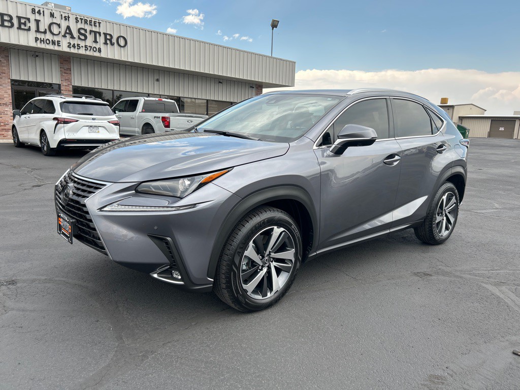 2020 Lexus NX Image 2