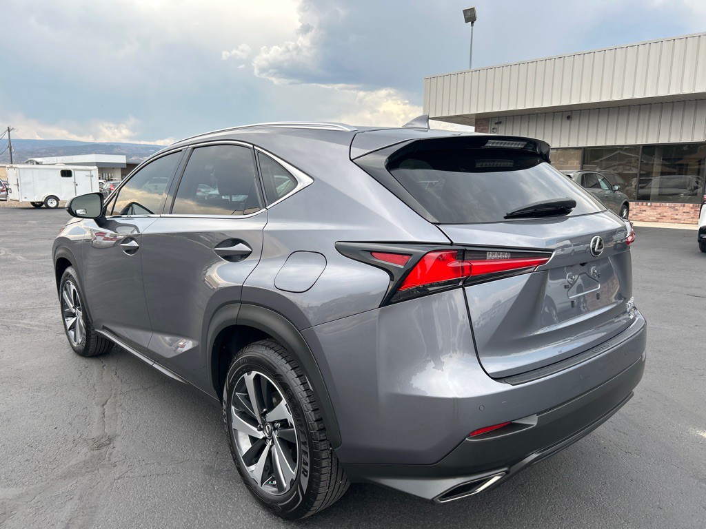 2020 Lexus NX Image 8