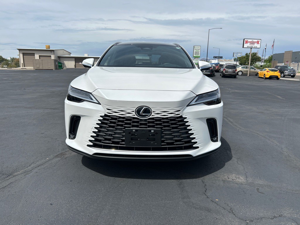 2025 Lexus RX Image 3