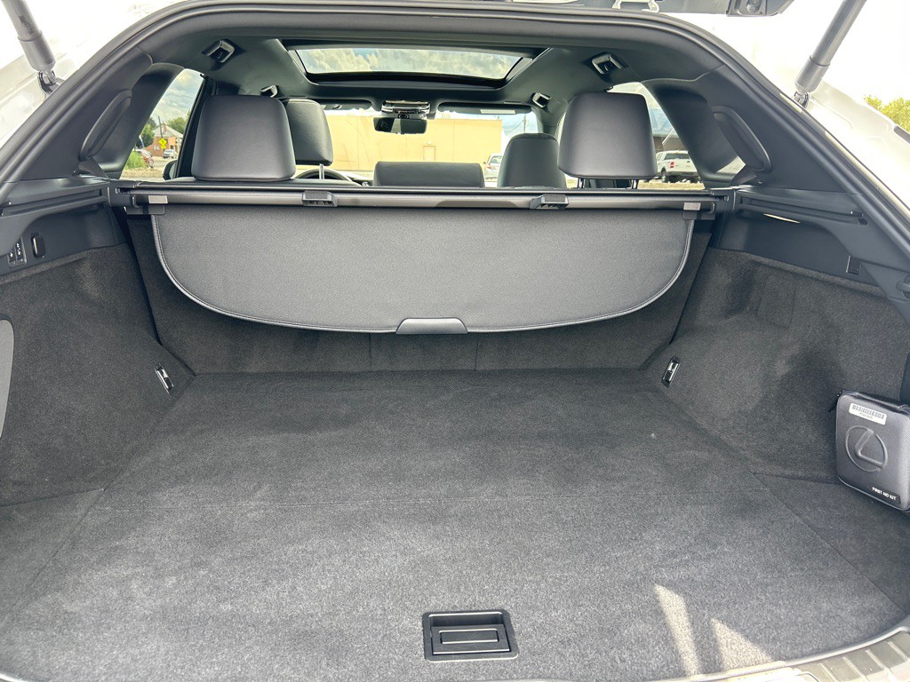2025 Lexus RX Image 10