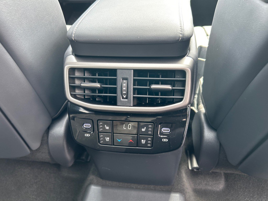 2025 Lexus RX Image 19