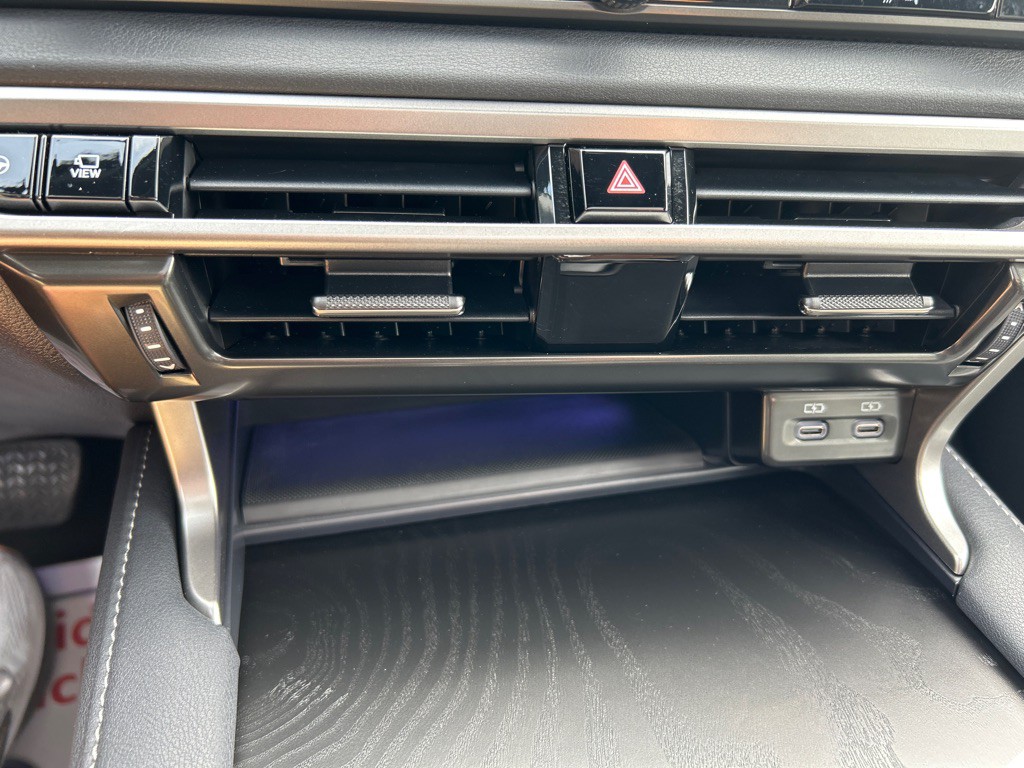 2025 Lexus RX Image 31