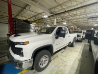 Image for 2024 Chevrolet Silverado 1500 WORK ID: 6722302